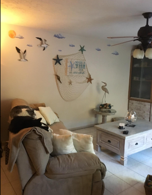 Flock of Seagulls & Seagull on Post Beach Wall Decals