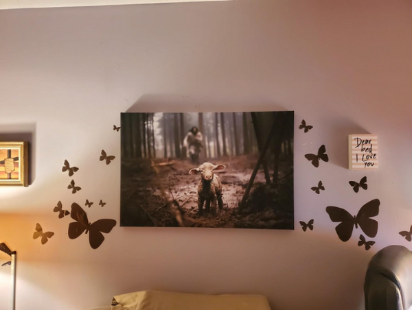 Butterfly Wall Decals -Black & White