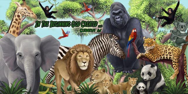 Jungle Sunday School Mural - Kids Room Mural Wall Decals