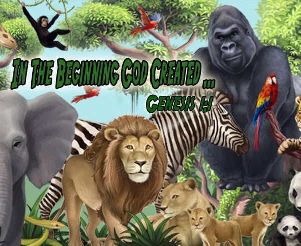 Jungle Sunday School Mural - Kids Room Mural Wall Decals