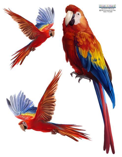 Parrot Wall Sticker - Create-A-Mural