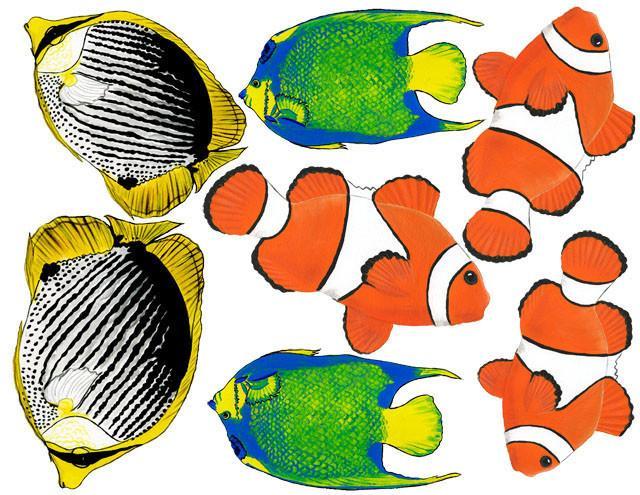 Tropical Fish Wall Stickers - Kids Room Mural Wall Decals