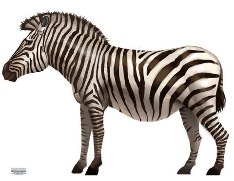 Zebra Wall Mural Decal - Create-A-Mural