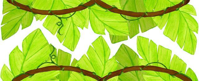 Jungle Leaf Border - Create-A-Mural