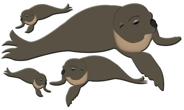 Momma & Baby Seal Mural Wall Stickers - Create-A-Mural