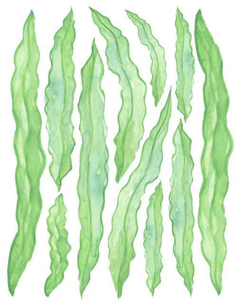 Under Water Adventures Classroom Mural Kit - Create-A-Mural