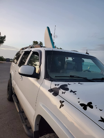 Black Butterfly Wall Stickers - Create-A-Mural