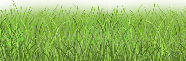 Grass Border Decal - Kids Room Mural Wall Decals