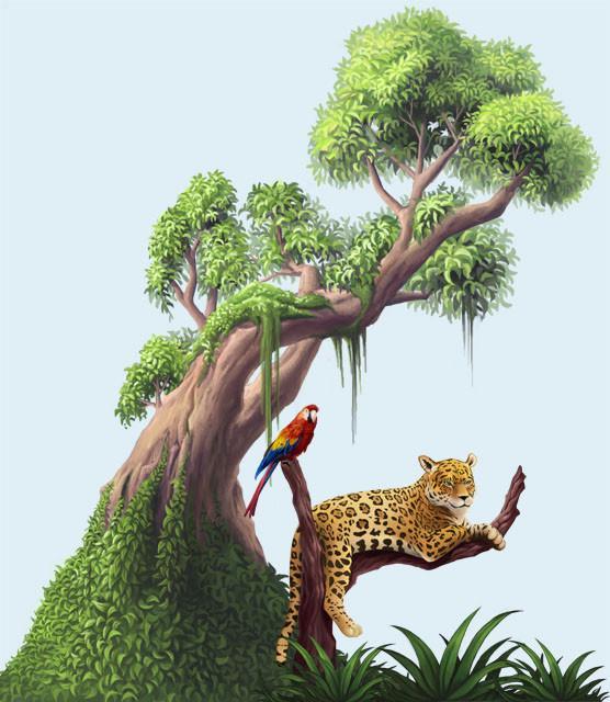 Jungles Adventures Mural Kit- Small - Kids Room Mural Wall Decals