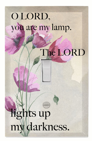 My Lamp Light Switch Cover Plate