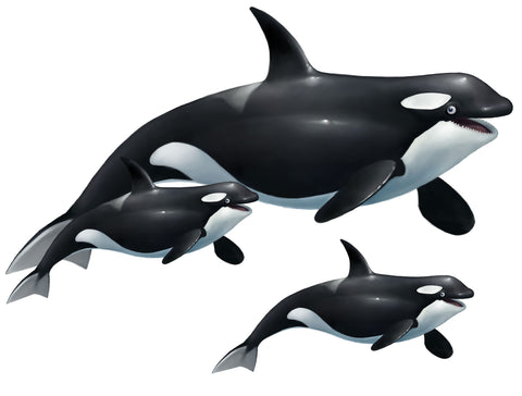 Orca Killer Whale Family Wall Decals