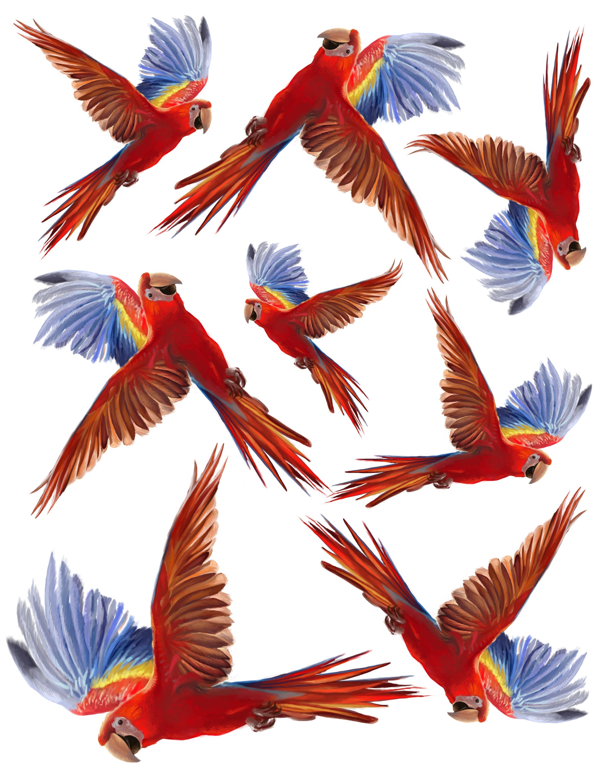 Parrot Pandemonium Parrot Pandemonium Flock of Parrots Wall Decals