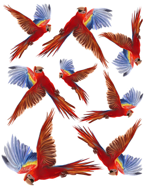 Parrot Pandemonium Flock of Parrots Wall Decals