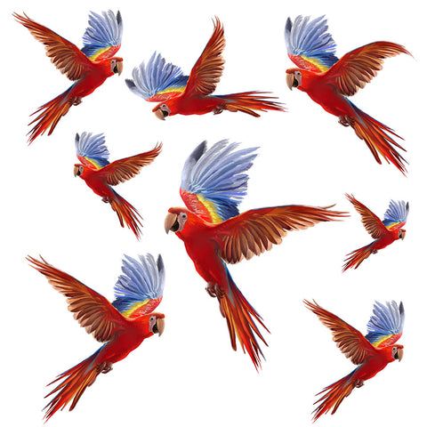 Parrot Pandemonium Flock of Parrots Wall Decals