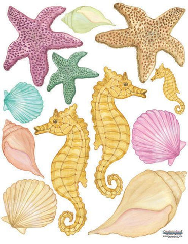 Seashell Wall Decals - Kids Room Mural Wall Decals