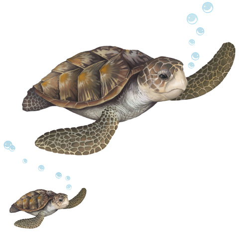 Sea Turtle Wall Decal -Kids Wall Stickers - Kids Room Mural Wall Decals