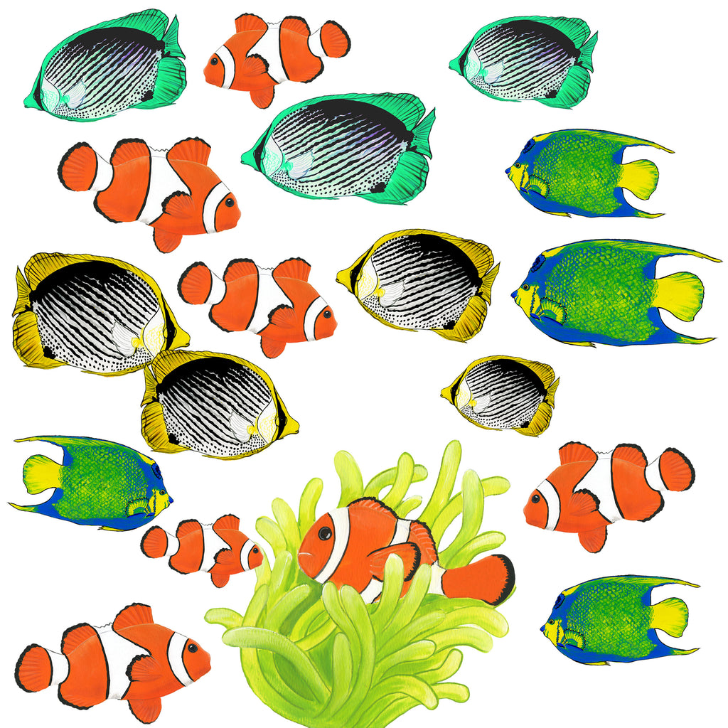 Tropical Fish Wall Decals- 3 pack - Kids Room Mural Wall Decals