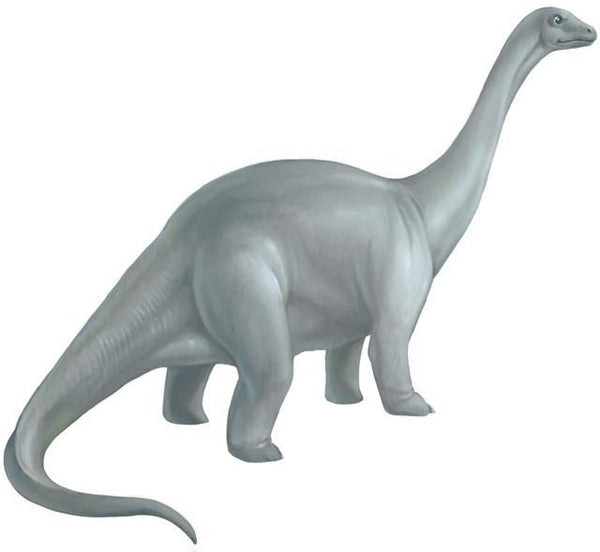 Large Apatosaurus Dinosaur Wall Mural - Create-A-Mural