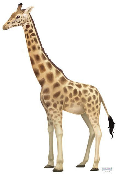 Giraffe Mural - Create-A-Mural